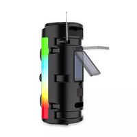 Haut-parleur Portable pour l'extérieur, système Dj, caisson de basses, boîte de son avec lumière Led