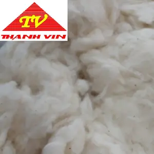 경쟁력있는 가격과 고품질을 갖춘 Thanh Vin 제조업체의 베트남 표백 코튼 컴버 노-플로렌스