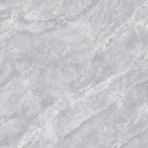 Azulejos de Cerámica con Acabado Pulido Modelo 1078-D 300x600mm - Product Image 1
