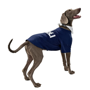 Nuevo Chaleco para Perro Marca Titancore, Corte Ajustado, Color Azul, Dos Patas, Ropa para Perro para Invierno Frío, Ropa de Senderismo para Perros Grandes - Product Image 3