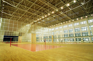 Pista <span class=keywords><strong>de</strong></span> <span class=keywords><strong>voleibol</strong></span> <span class=keywords><strong>de</strong></span> 8mm, suelo deportivo <span class=keywords><strong>de</strong></span> vinilo <span class=keywords><strong>de</strong></span> pvc <span class=keywords><strong>de</strong></span> plástico profesional usado - Product Image 5