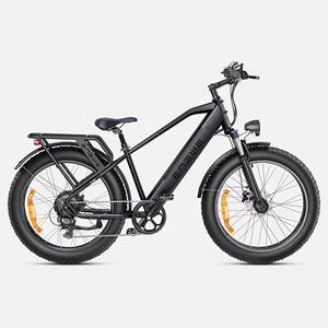Envío Directo ENGWE E26 Bicicleta de Montaña con Neumáticos Gruesos para Nieve, 250w, 26*4.0 pulgadas, 48v16ah, Versión Masculina, Plataforma Alta -Negro E26-EU E26 High-S - Product Image 1