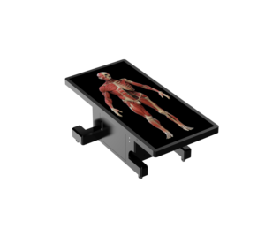 Mesa de Disección Humana Virtual 3D de Alta Resolución, un Dispositivo de Enseñanza de Disección Médica de Nueva Generación, Hecho a Medida - Product Image 1