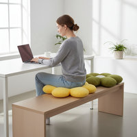 Coussin décoratif épais de style nordique et japonais pour canapé, chaise de bureau ou de salon, idéal pour la maison et les hôtels.