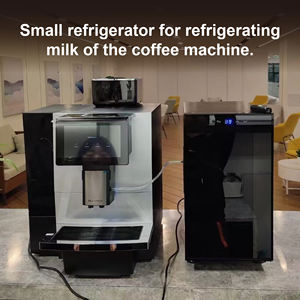 Mini-refroidisseur de lait à compresseur, le plus vendu, prix de gros, portable 18L pour machine à café - Product Image 3
