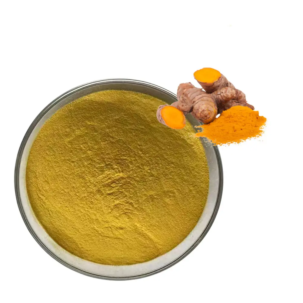 Thảo dược chiết xuất Curcuma longa L. NGHỆ CURCUMIN curcunoids cho thuốc nhuộm