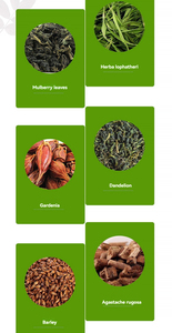 Thé aux herbes naturelles biologiques pour la santé <span class=keywords><strong>D</strong></span>étox pulmonaire Soutien respiratoire et renforcement du système immunitaire - Product Image 4
