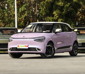 Oferta Especial: <span class=keywords><strong>Nano</strong></span> 01 2026 Edición Ultra 330KM, Hermoso Vehículo Eléctrico de Nueva Energía, Asequible y de Alto Valor, Ideal para Desplazamientos Urbanos - Product Image 1
