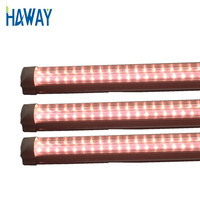 Usine-fabriqué a mené la lumière de tube de croissance standard peut être personnalisé 40w smd2835 t8 intégré led croissance lumière