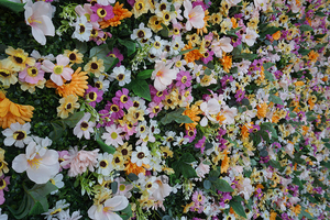 <span class=keywords><strong>Pas</strong></span> <span class=keywords><strong>cher</strong></span> 10ft jaune décoration de mariage soie <span class=keywords><strong>artificielle</strong></span> <span class=keywords><strong>fleur</strong></span> <span class=keywords><strong>mur</strong></span> panneau de tissu fond faux fleurs <span class=keywords><strong>mur</strong></span> - Product Image 4