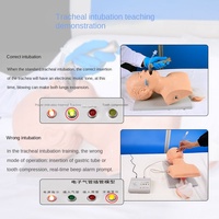 Maniquí de Entrenamiento para Intubación Traqueal Electrónica SCIEDU, Modelo de Ayuda Didáctica, Simulador de Enfermería para Entrenamiento Médico
