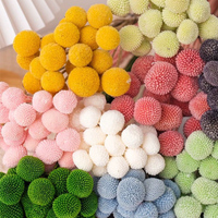 Billy Button Bunga Bola Emas Asli Buket Bunga Kering Alami untuk Dekorasi Rumah & Pernikahan L50-60cm 100-120g/buket