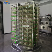 Vente chaude IVC Système de cage à souris PLC Équipement d'élevage Cages ventilées individuellement pour laboratoire Rat Lapin Souris Cochon d'inde