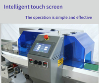Machine d'emballage pour fruits et bâtonnets glacés, machine d'emballage FlowPillow pour gâteaux de lune et biscuits, haute performance et efficacité optimale