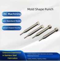Punzón de Forma Especial Mecanizado por CNC Personalizado, Punzón de Precisión de Acero Inoxidable con Tolerancia de 0.005-0.03mm para Uso Industrial