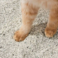 Tepung Tapioka Pasir Kucing Harga Grosir, Cepat Menggumpal Bebas Debu, OEM