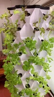 Tour de pétale tour hydroponique verticale complète jardin économique pratique ménage 80 trous tour hydroponique avec Led élèvent la lumière