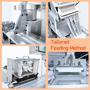 Machine d'emballage sous blister automatique DPP-180 pour comprimés, gélules molles et capsules de gélatine - Product Image 3
