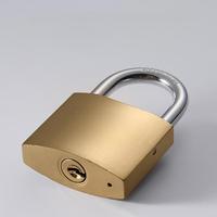 Cadenas miniature à clé de sécurité haut de gamme, bon marché, étanche, en acier inoxydable plaqué laiton