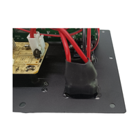 Amplificateur de puissance audio 60W-100W Fabriqué en Chine Caisson de basses Amplificateur de puissance professionnel