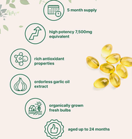 Gélules d'extrait d'ail vieilli inodore en vrac, 30 unités, sans OGM, sans gluten, testées en laboratoire, supplément quotidien naturel à base de plantes pour