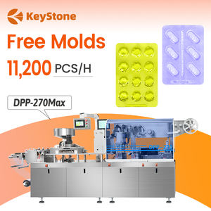 DPP 270 Free - Juego de Moldes de Aluminio y PVC para Máquina Automática de Envasado de Blísteres de Tabletas y Cápsulas de Plástico y Aluminio - Product Image 1