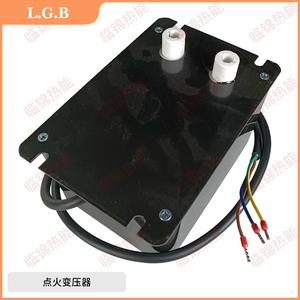 L.G.B. Transformateur d'allumage haute tension monopolaire 2x5KV 2x7KV bipolaire 1x8KV pour bobine d'allumage, tension de sortie 220V - Product Image 2