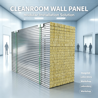 Panneaux muraux modulaires pour salle blanche, panneaux sandwich métalliques GMP, panneaux de cloison légers et isolés, panneaux de toiture pour salle blanche, matériaux de construction