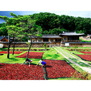 [Biggalchan 130g] Assaisonnement 100% naturel pur pour une alimentation saine, sans additifs, poudre de piment lavé - Product Image 1