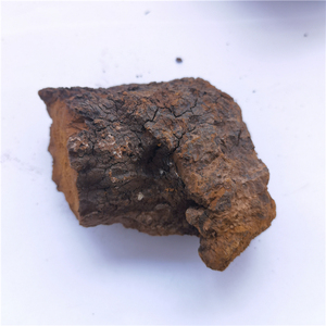 <strong>Bai</strong> <strong>Hua</strong> <strong>Rong</strong> Organic Siberian Chaga Chunks Inonotus Obliquus Mushroom - Product Image 6