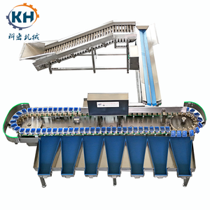 เครื่องคัดแยกและล้างผักผลไม้อัตโนมัติ Kehong KHLH-6J พร้อมเซ็นเซอร์ PLC ใช้งานง่าย <span class=keywords><strong>ราคา</strong></span>โรงงาน - Product Image 3