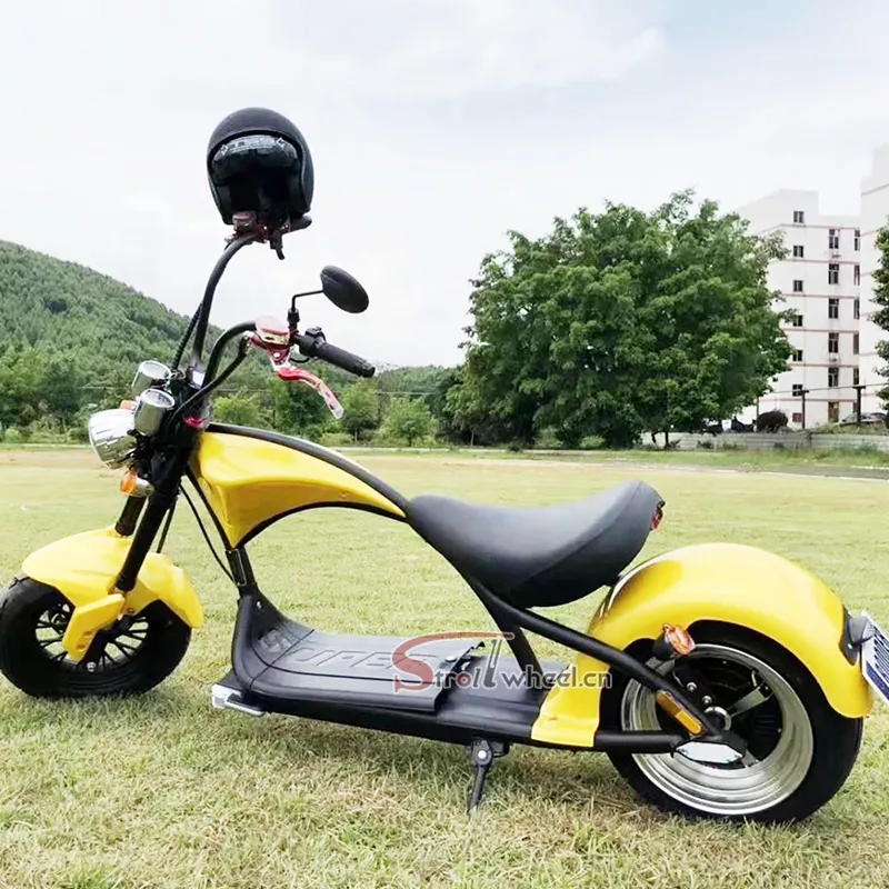 Holland Magazijn Eeg/Coc Citycoco 3000W Homologatie Elektrische Scooter Met Verwisselbare Lithium Batterij