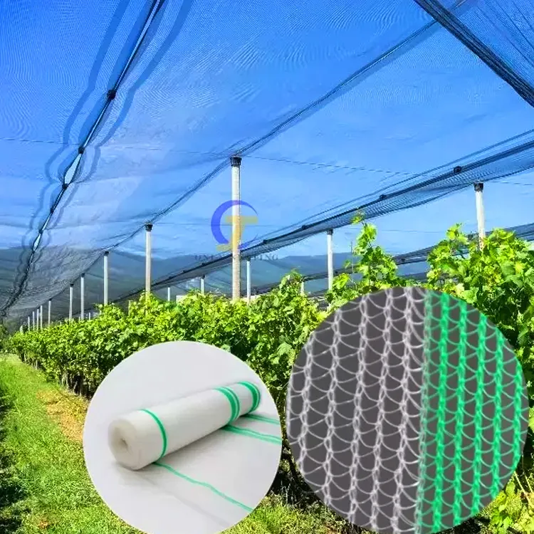 best quality plastic anti bird/Hail/Insect net plants protection net manufacturer for agriculture vineyard
