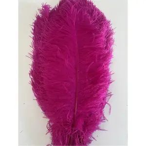Dyed ostrich feather plumes white ostrich feathers 70cm buy two color for wedding centerpieces