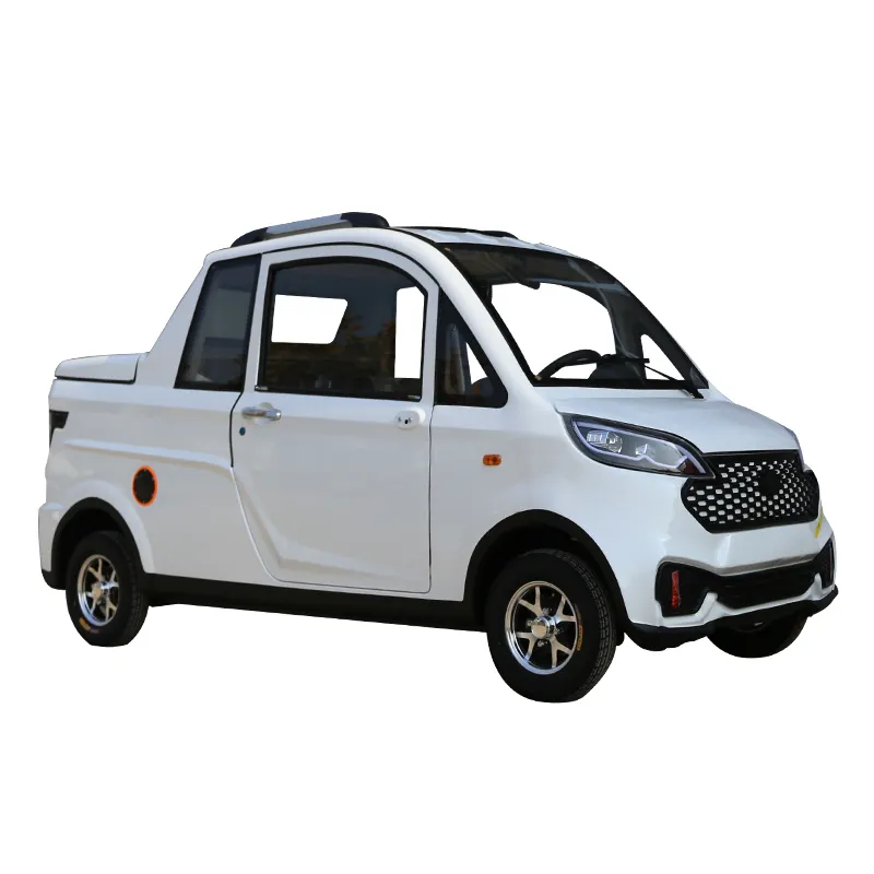 Elettrico minivan da pesca Privato esclusivo puro carrello elettrico a quattro ruote personalizzare 4 ruote auto elettriche minivan
