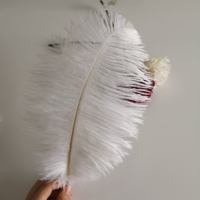 Usine en gros 30-35cm plume d'autruche Nature rose lilas violet plume d'autruche Hackle pour bricolage maison robe de soirée de mariage décor