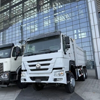 Низкая цена, самосвал RHD с 10 колесами, 371 л.с., для строительных работ