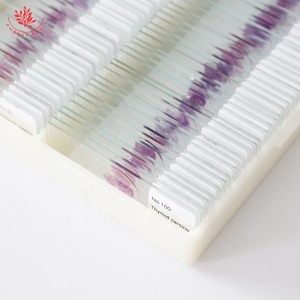 Diapositivas de patología humana FRT2002 Suministro médico 100 tipos Microscopio de patología humana Diapositiva preparada Diapositiva profesional biológica - Product Image 4