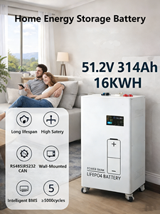 Batería LiFePO4 de 51.2V 314Ah 16kWh para Almacenamiento de Energía Doméstica, Montaje en Pared para Sistemas de Energía Solar ESS - Product Image 6