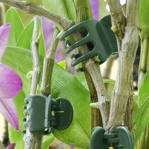 Clip de Fijación para Plantas de Plástico Modelo 036 para Orquídeas <span class=keywords><strong>Dendrobium</strong></span> y Plantas Trepadoras - Product Image 3