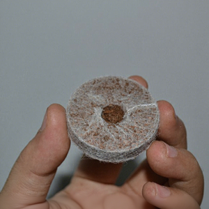 Pastilles de coco biodégradables pour semis, disques de coco extensibles pour jeunes pousses et pépinières en serre - Product Image 2