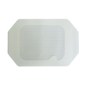 chinese dress ladies PICC Line Dressing Change Tray with BioPatch main image 0