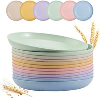 Assiette en plastique réutilisable légère de 7,68 pouces pour dîner, pique-nique, dîner en famille, voyage, camping, fête à domicile