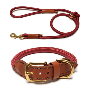 Conjunto de <span class=keywords><strong>collar</strong></span> y correa de nailon para entrenamiento de perros trenzado hecho a mano de alta calidad ajustable - Product Image 4