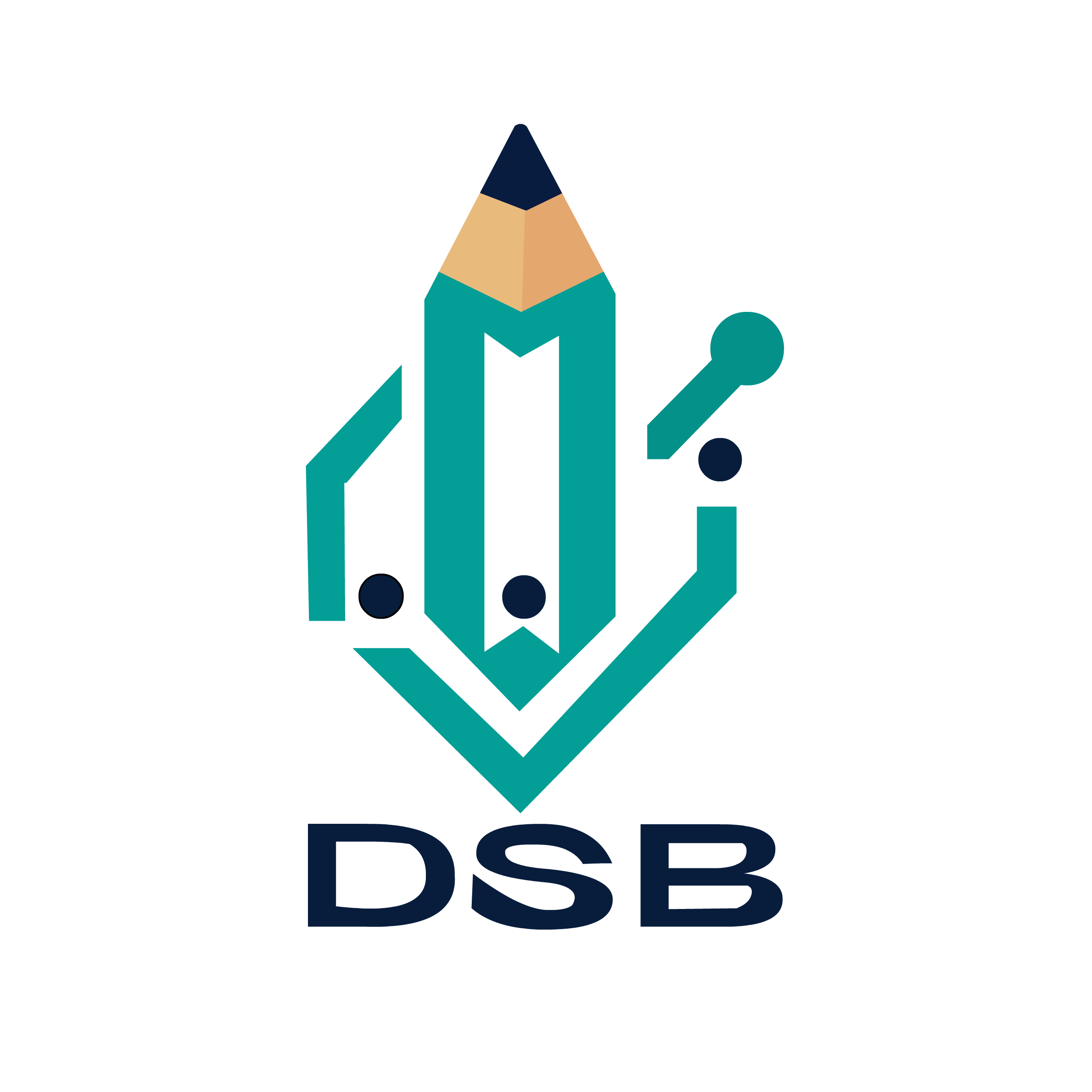 Shenzhen Dashoubi Digital Technology Co., Ltd. logo