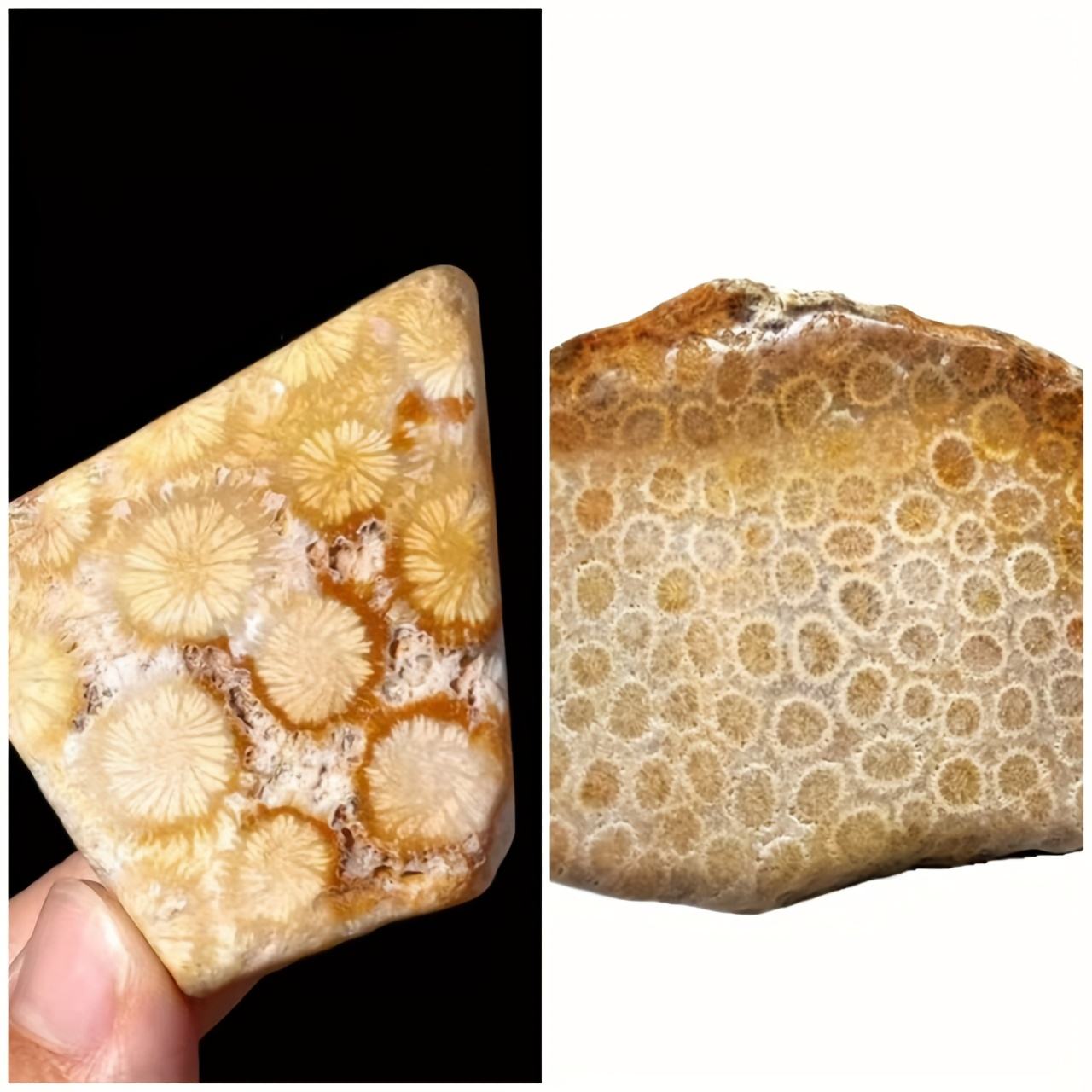 Coral Jasper Irregular Shape