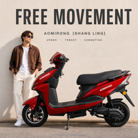 Sıcak SHANG LING Şehir E-Bisikleti 2 Kişilik Yetişkin Elektrikli Scooter Çift Amortisörlü Ön Arka Disk Fren Özel Batarya Guangzhou