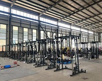 Rack de musculation en acier avec système de poulies à double rail, multifonctionnel, idéal pour les entraînements de force à domicile, adapté aux salles de sport à domicile.