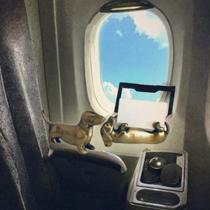 Étui de protection pour passeport XR avec clip métallique pour billet, version chinoise transfrontalière, design carte du monde avion, violet/rose/clair - Product Image 3