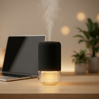 Nouvel Arrivage Diffuseur d'Arômes Électrique Rechargeable de Luxe à Air Froid avec Éclairage Ambiant pour la Maison